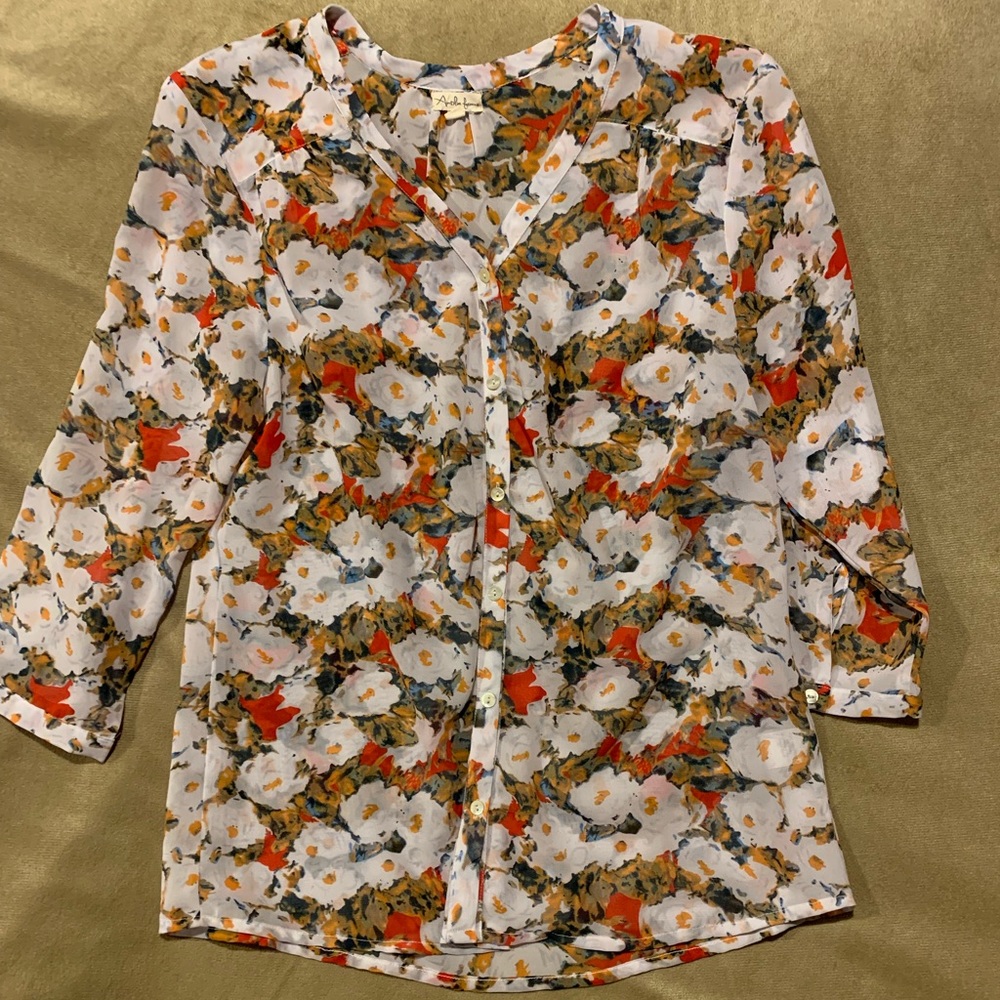 Button up sheer blouse